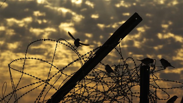 Des oiseaux perchés sur des barbelés à la base Adder, la dernière à avoir été transférée par les Américains à l'Irak