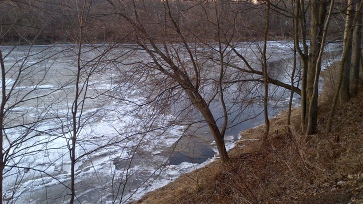 Disparition de Maxime Dion le chien retrouvé dans la rivière Noire à