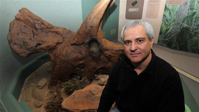 Le professeur de physique Mauricio Barbi devant la réplique d'un crâne de tricératops, au Royal Saskatchewan Museum de Regina