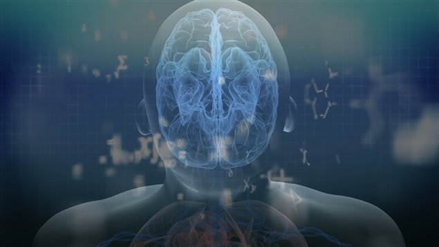 Représentation de la chimie du cerveau