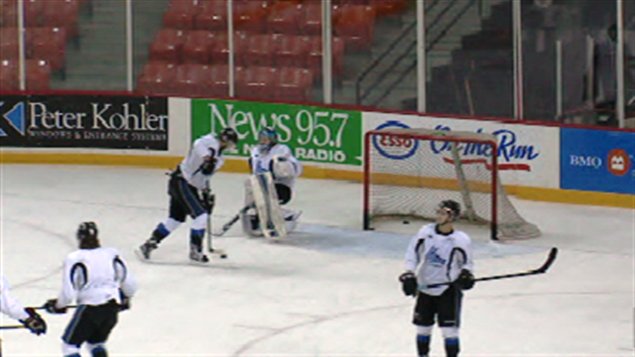 Sea Dogs