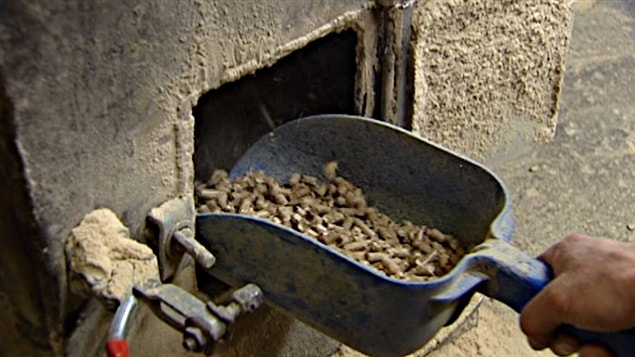 L'usine Lauzon Bois Energétique produit des granules de bois franc.