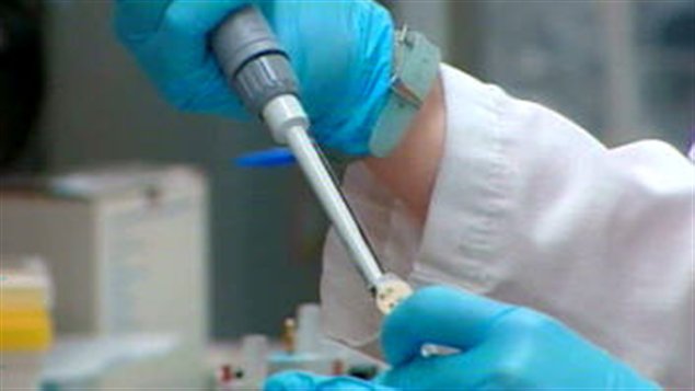 Laboratoire