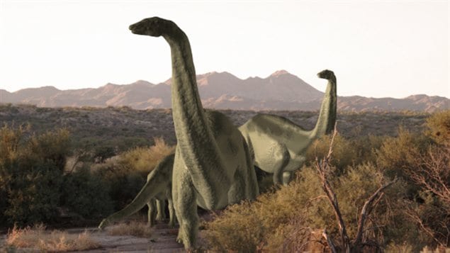 Représentation d'un Brontosaurus