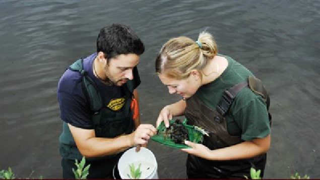 Deux scientifiques du programme de recherches dans la Région des lacs expérimentaux