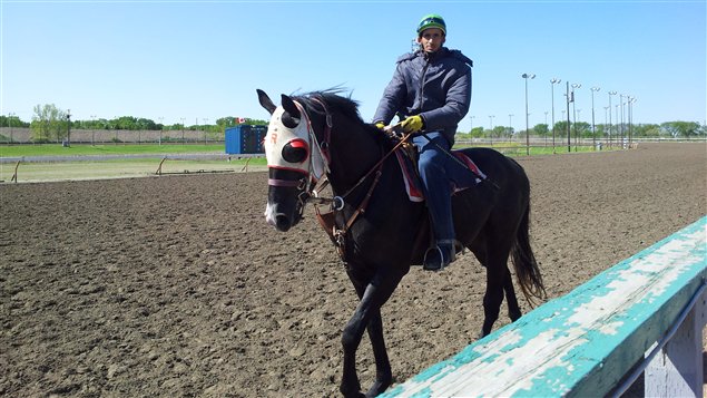 Un jockey sur son cheval à Saskatoon