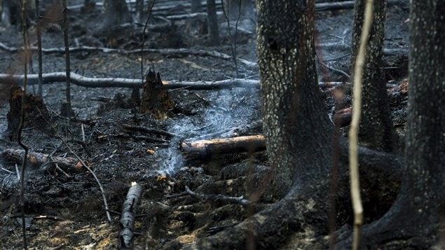 Le feu Timmins 9 vu de plus près