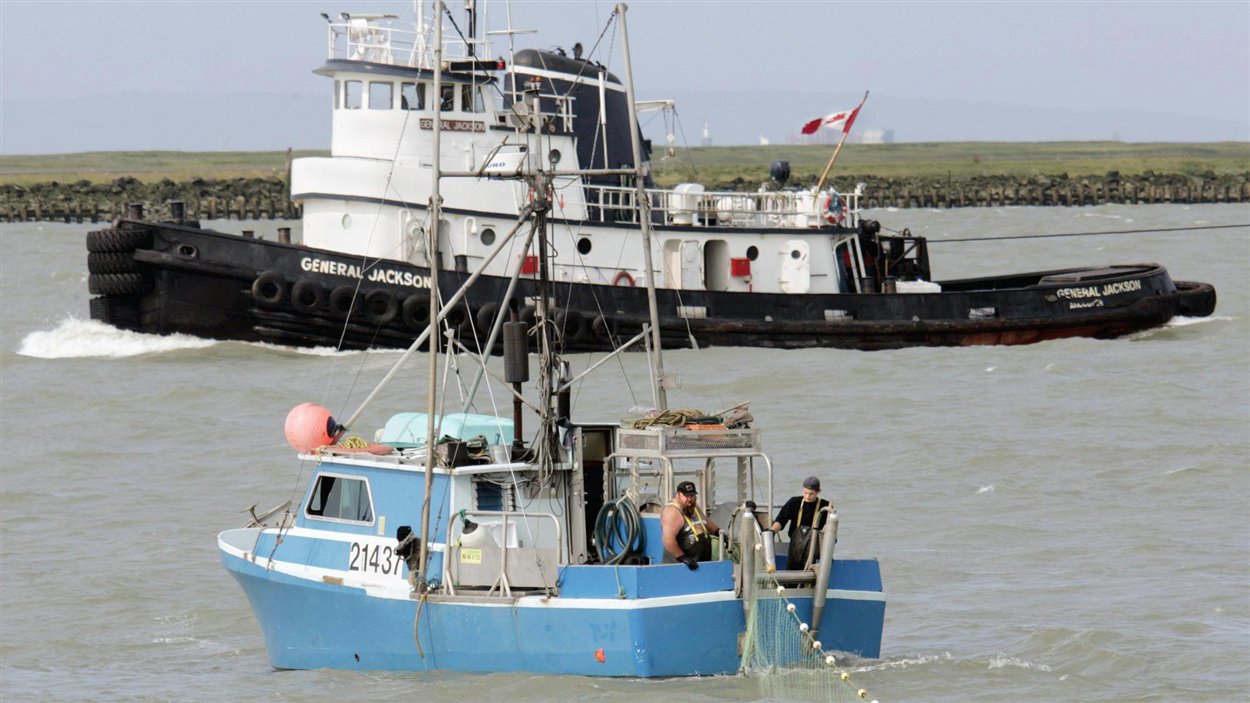 remorqueur et bateau de pêche au saumon sur le  fleuve Fraser