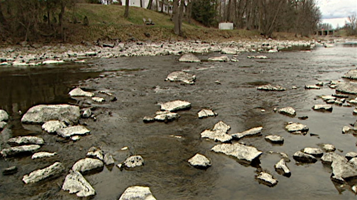 Le niveau de la rivière Rideau est environ deux fois plus bas que la moyenne à ce mois-ci de l'année (juillet 2012). Les roches sont habituellement submergées.