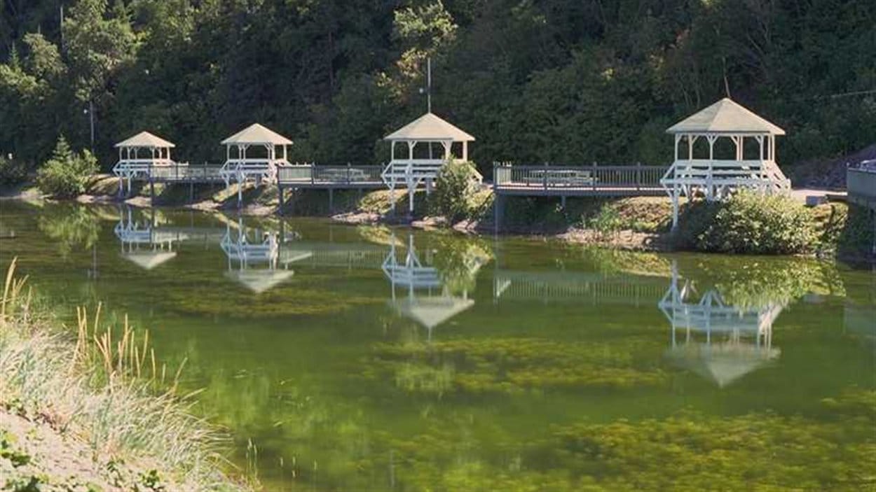 Deux corps repêchés dans l'étang de RivièreàClaude RadioCanada