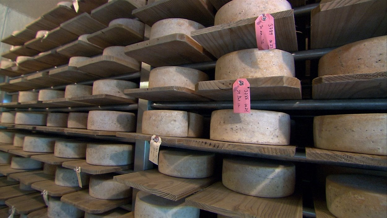 Peu de fromagers développent une expertise pour le fromage de lait cru.