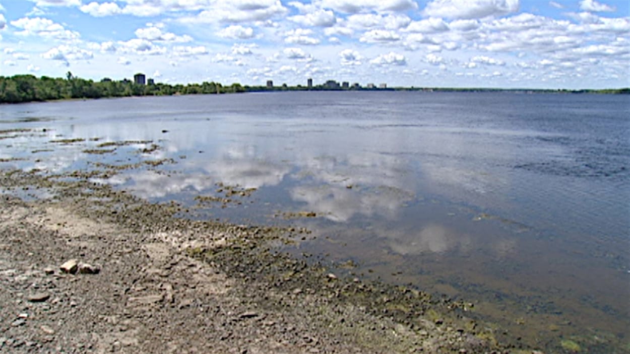 Le niveau de la rivière des Outaouais est bas, en raison de la sécheresse (été 2012).