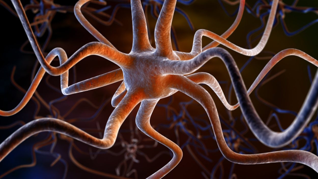 Représantation d'un neurone