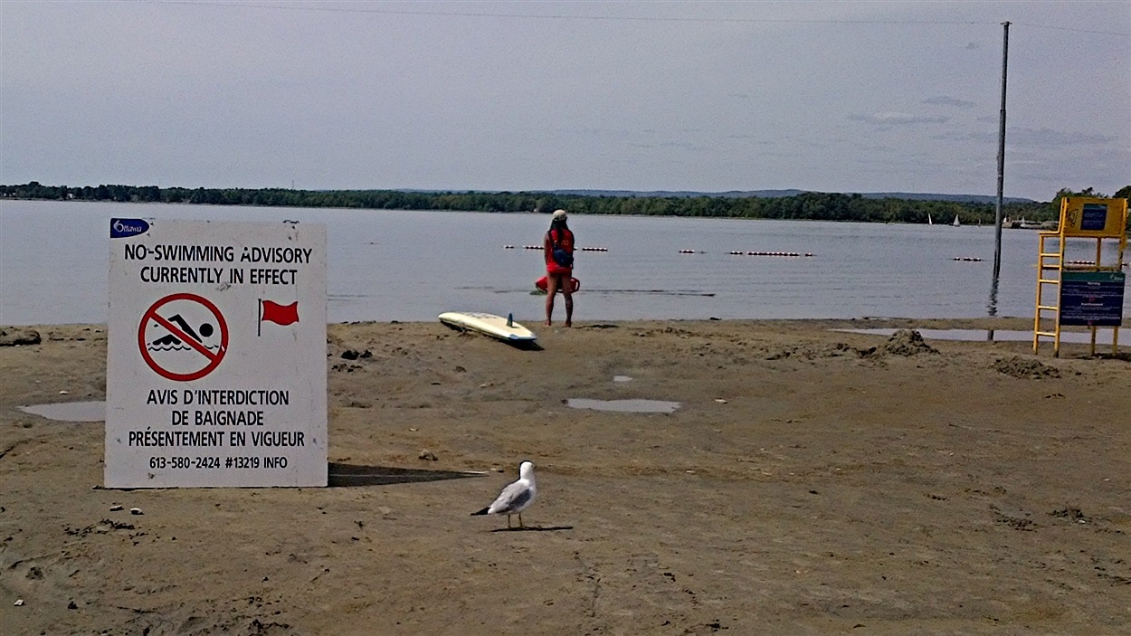 La plage Britannia est fermée temporairement à Ottawa RadioCanada