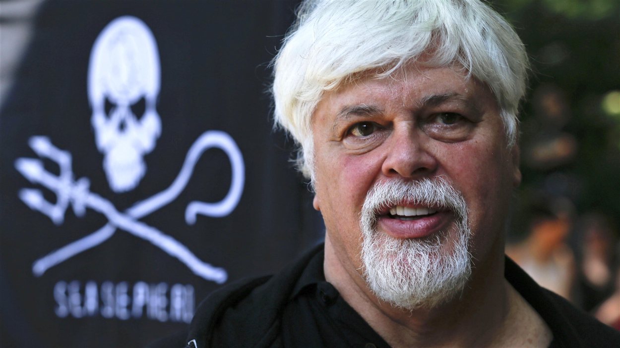 L'écologiste Paul Watson En Fuite Sur Les Mers Du Monde Depuis Un An ...