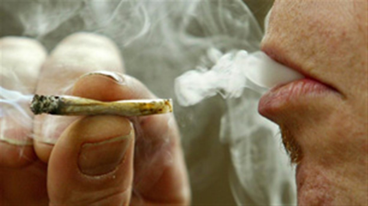 Fumer du cannabis adolescent fait baisser le QI adulte 
