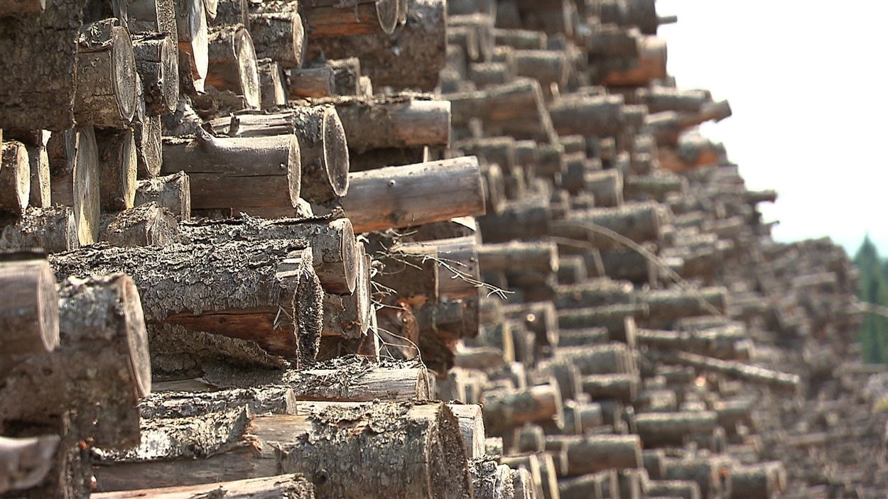 Stock de bois