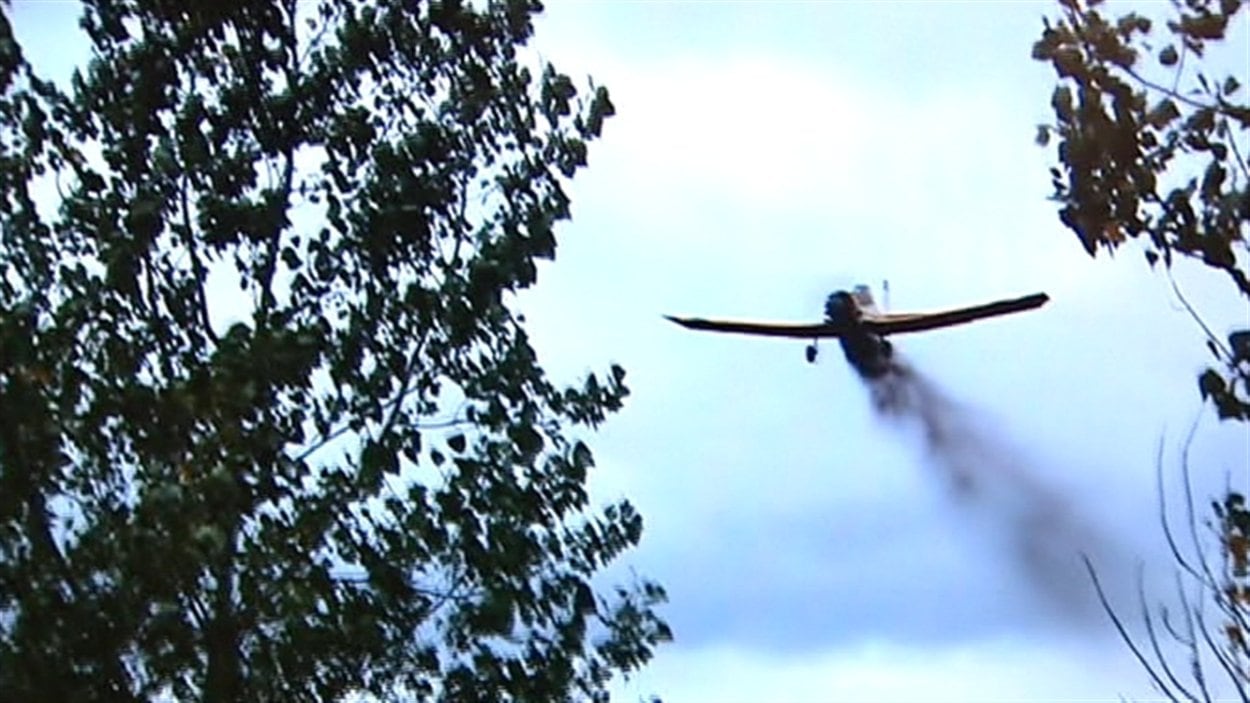 Un avion qui largue des graines sur le Grand Sudbury