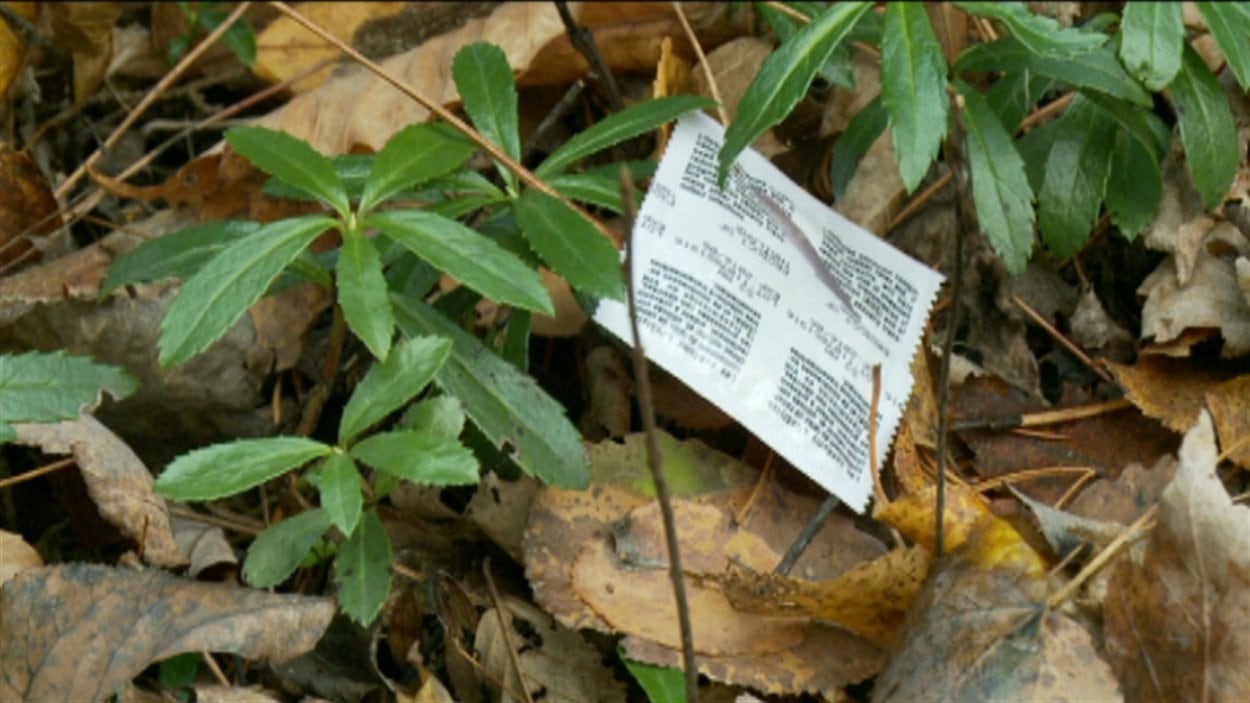 Des résidents exaspérés par des actes de nature sexuelle en plein air |  Radio-Canada