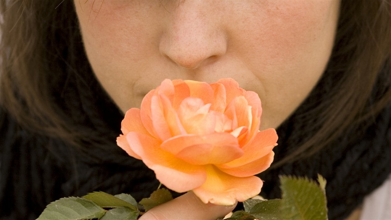 Sentir une fleur