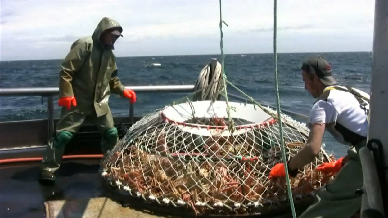 Pêche au crabe