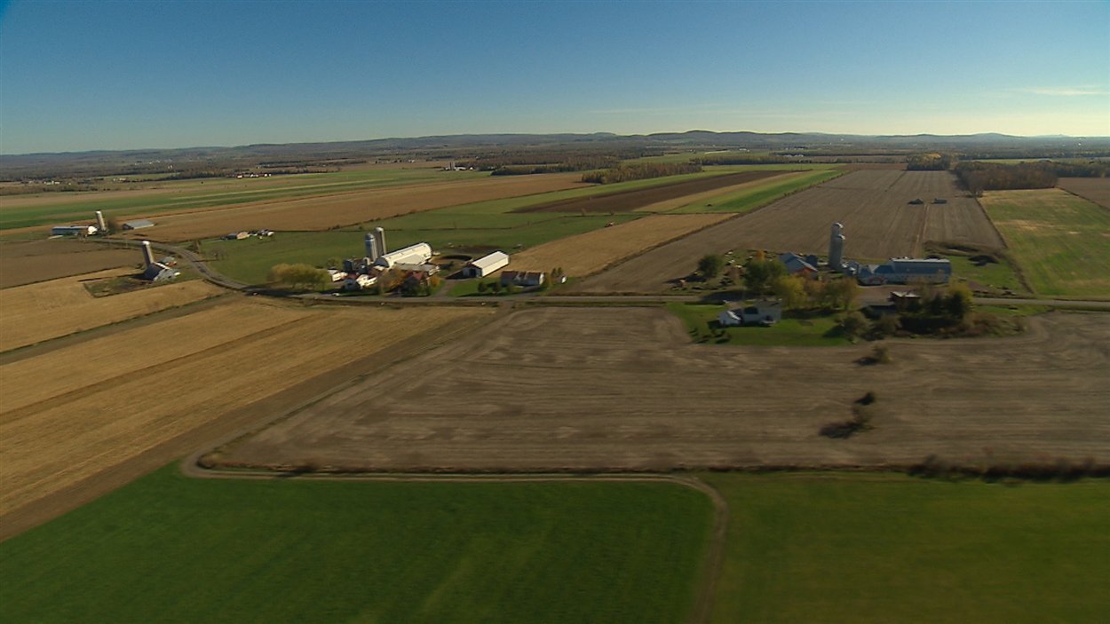 Deux pour cent seulement du territoire québécois est réservé à l'agriculture.