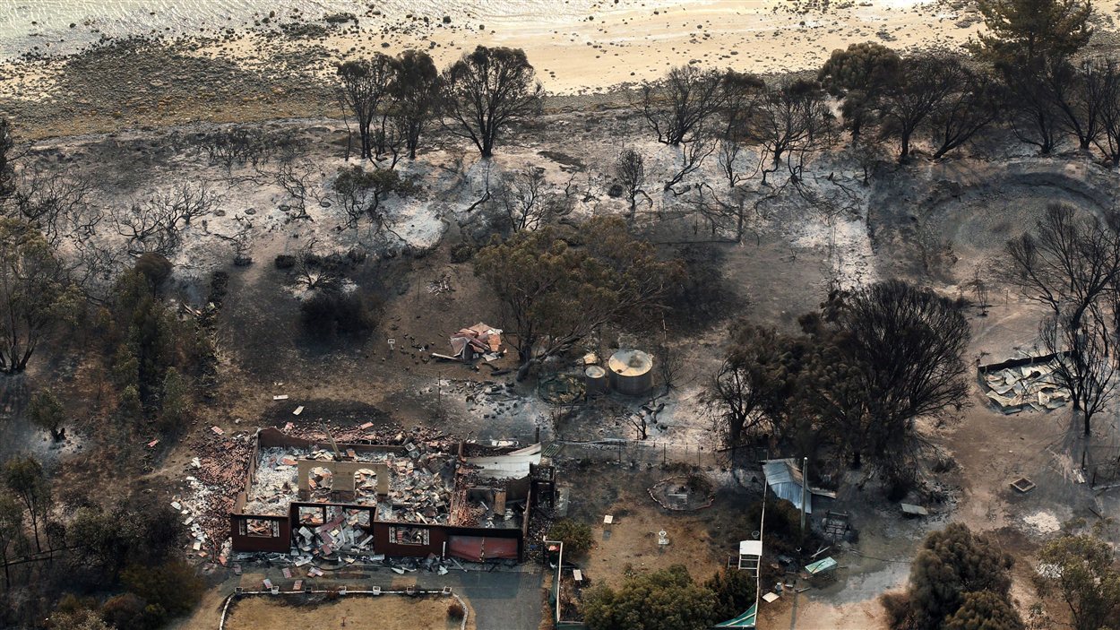 Feux De Forêt Dévastateurs En Australie | Radio-Canada