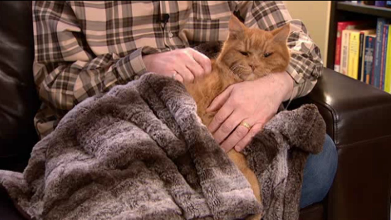 Medicaments Pour Animaux Moins Chers En Pharmacie Qu En Clinique Radio Canada Ca Medicaments Pour Animaux Moins Chers En Pharmacie Qu En Clinique Radio Canada Ca
