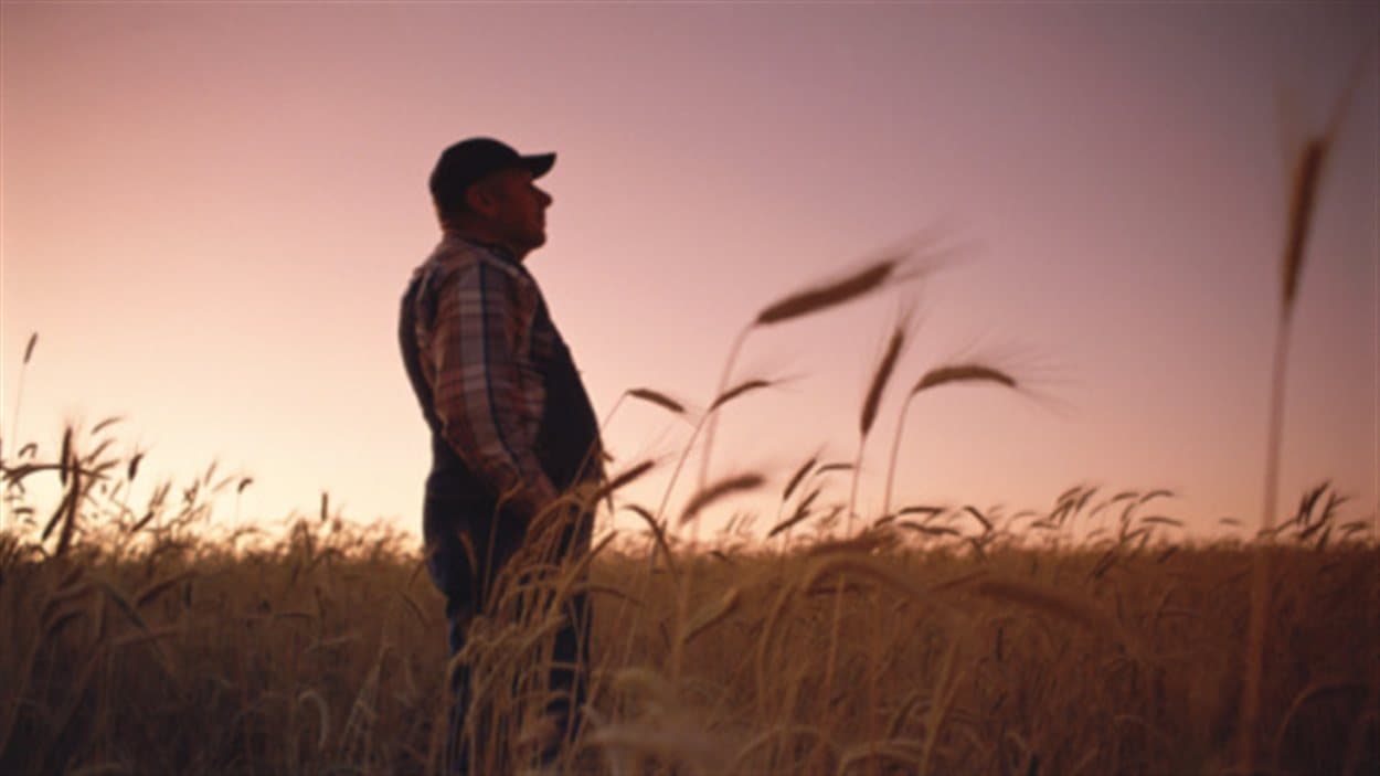 Agriculteur dans un champs