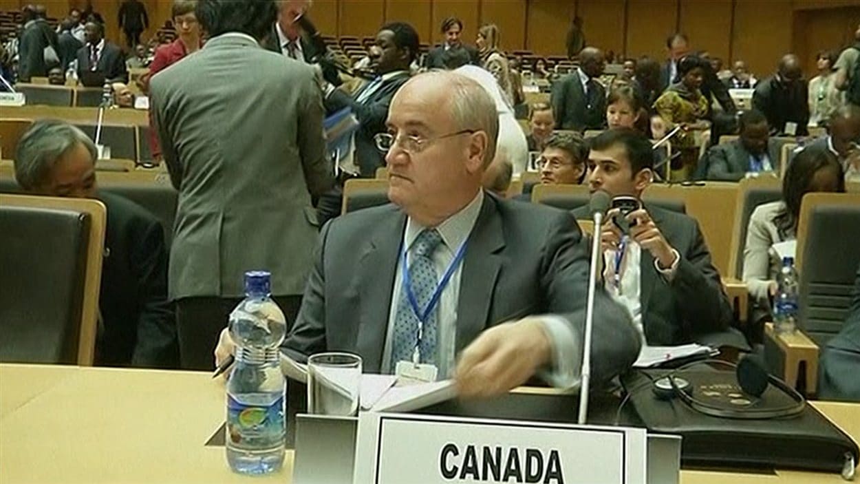 Le ministre de la Coopération internationale, Julian Fantino, assiste à la conférence sur le Mali en Éthiopie, le 29 janvier.
