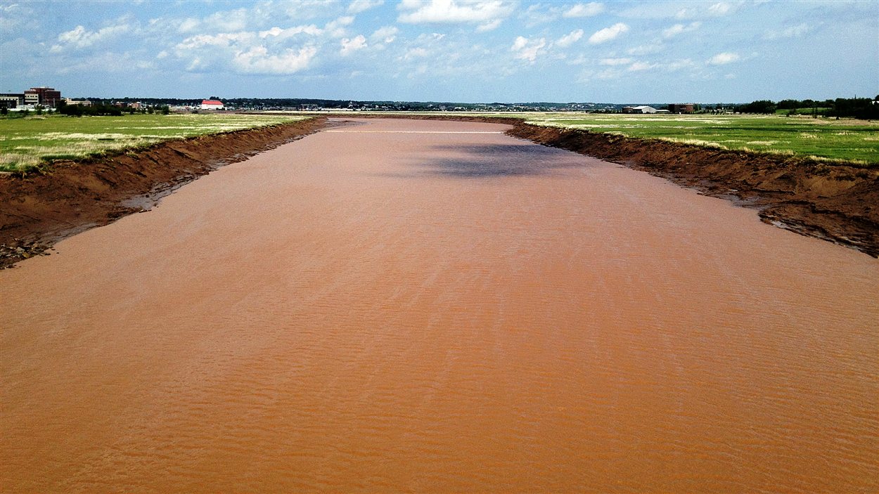 Un vote serré pour la Petitcodiac à Moncton RadioCanada