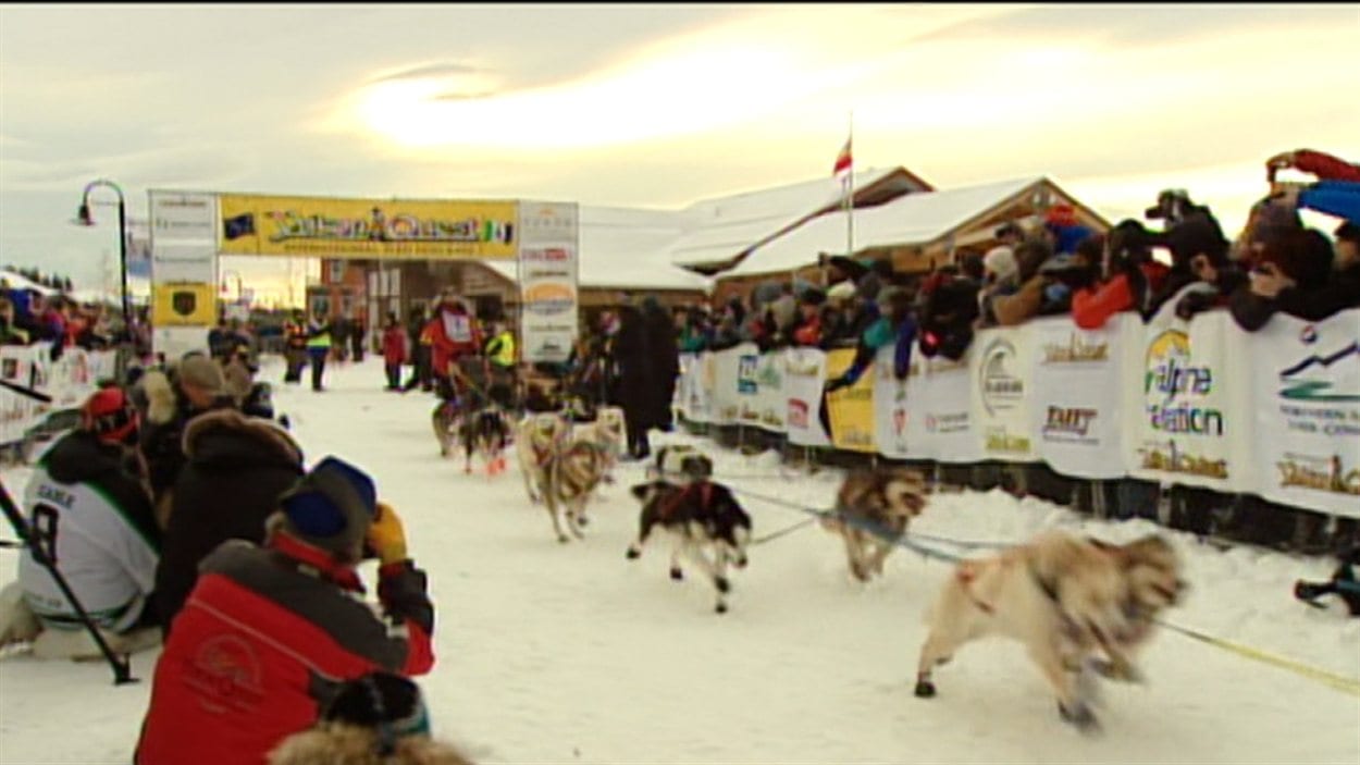 Le premier compétiteur et ses chiens s'élancent au départ du Yukon Quest 2013.