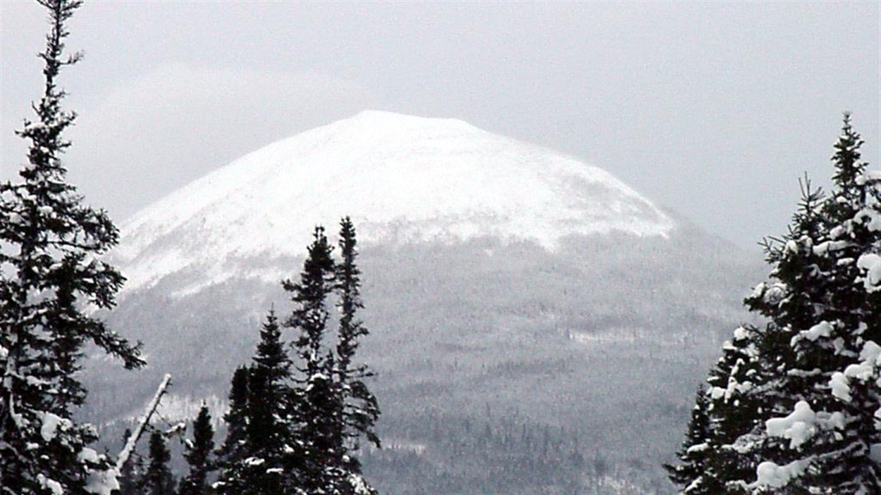 Parc de la Gaspésie