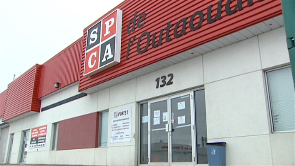 Les bureaux de la SPCA de l'Outaouais sont situés sur la rue de Varennes à Gatineau.