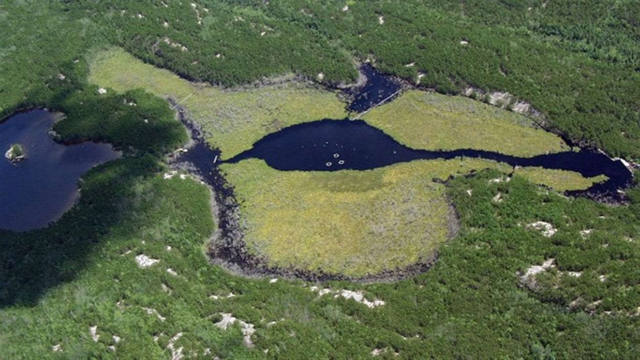 Cette image non datée montre un lac faisant partie de la 8e anné du réservoir de terres humides (Projet de réservoirs dans la région des lacs expérimentaux).