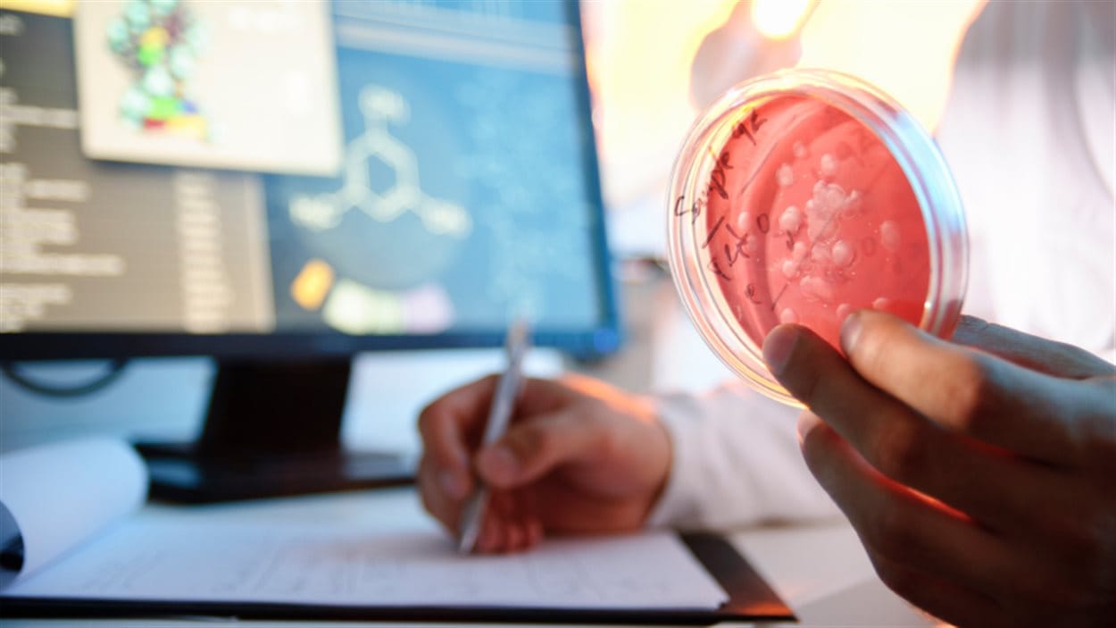 Recherche en laboratoire