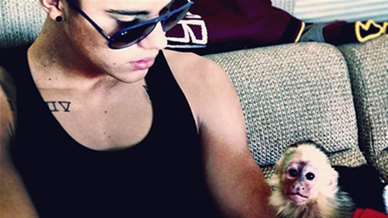 L Ancien Singe De Justin Bieber A Une Nouvelle Maison En Allemagne Radio Canada Ca