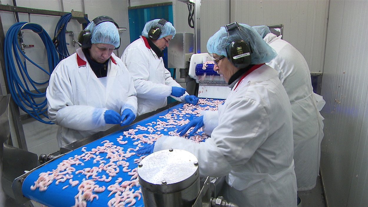 Des employés de l'usine des Fruits de mer de l'Est du Québec