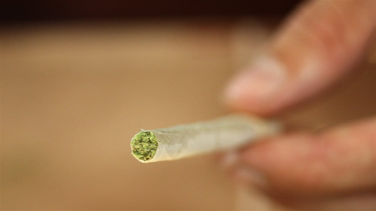 Ottawa change les règles pour l'approvisionnement de marijuana à usage thérapeutique