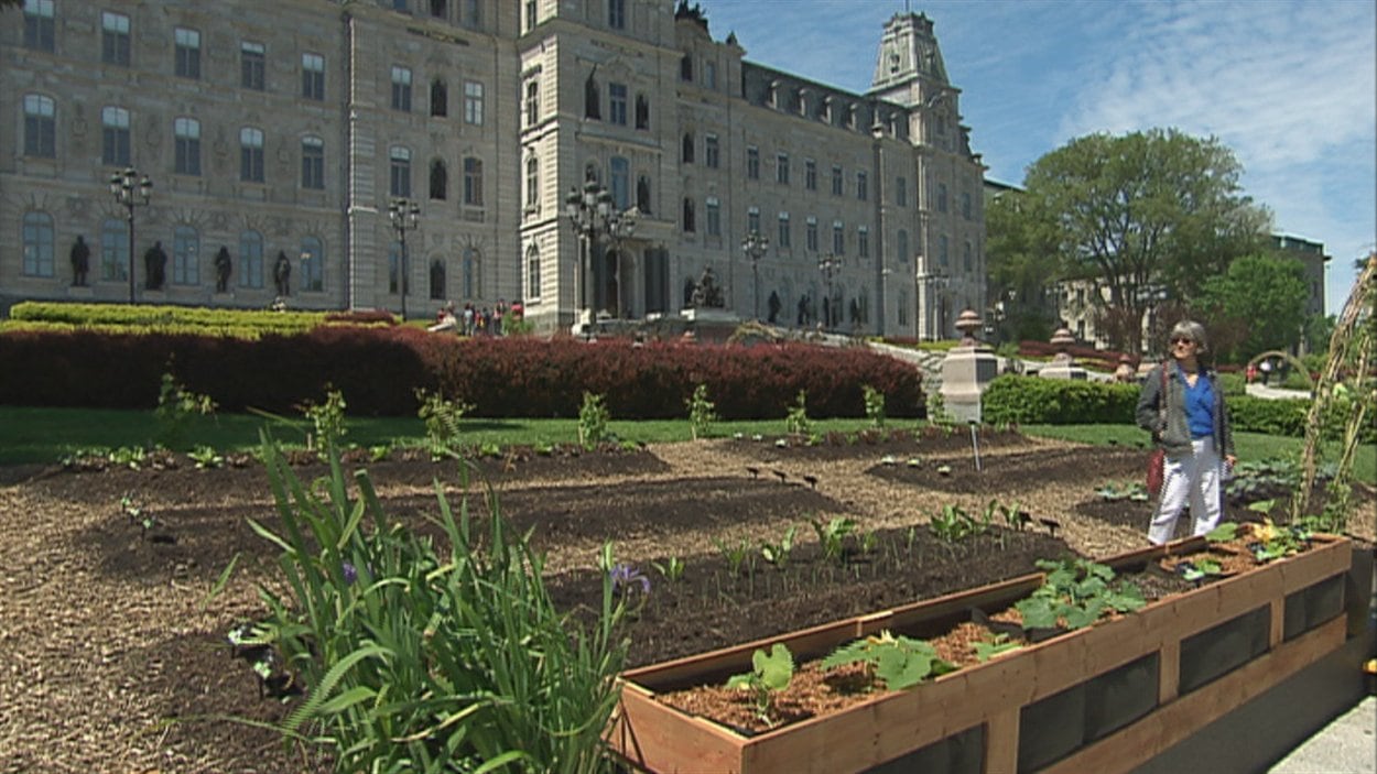 Le potager urbain est aménagé devant l'Assemblée nationale.