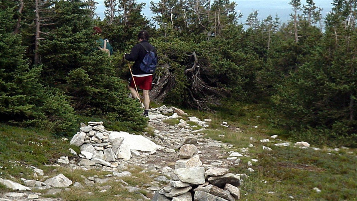 Le Sentier international des Appalaches traverse le parc de la Gaspésie jusqu'au cap Gaspé. Il s'agit d'une randonnée de près de 100 km pour traverser le parc de la Gaspésie d'est en ouest.