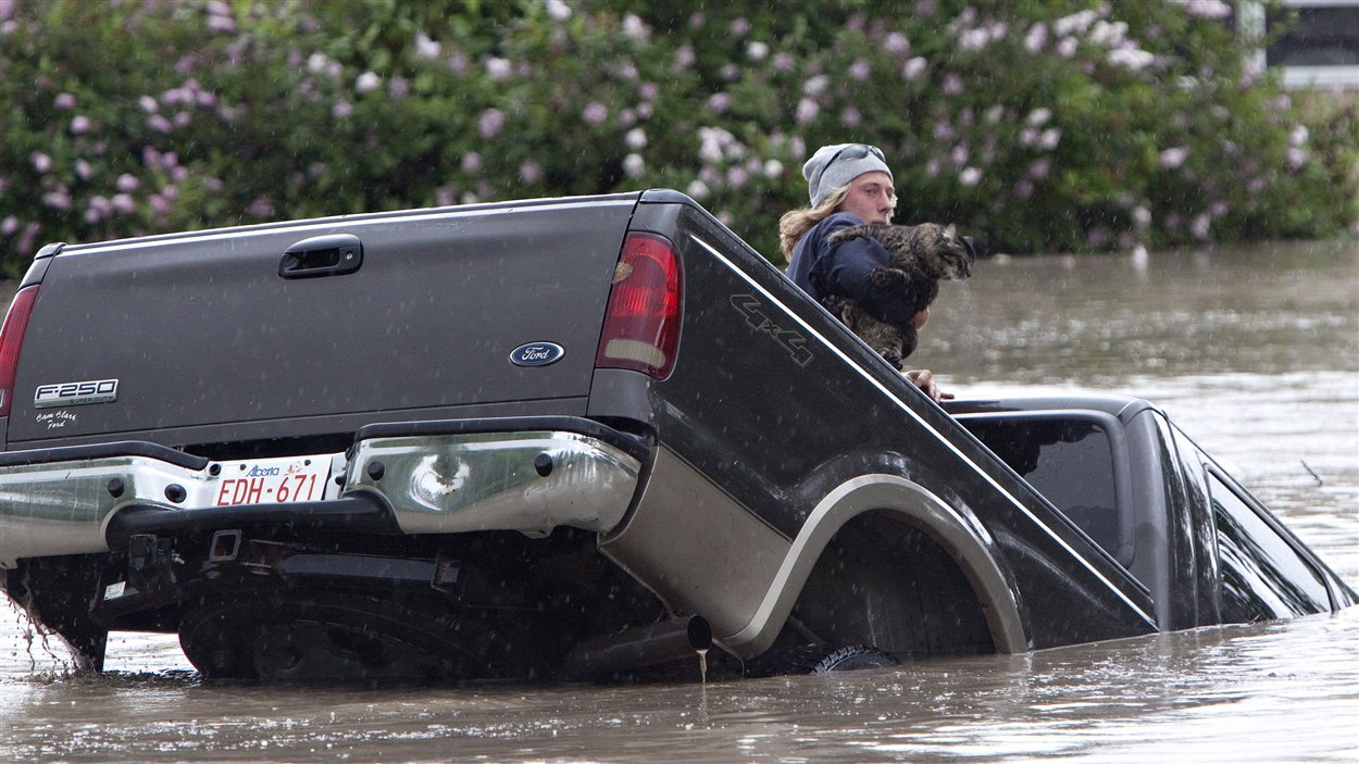 Kevan Yaets et son chat Momo s'extirpent d'un camion par la fenêtre arrière alors que les eaux de la rivière Highwood continuent leur ascension à High River, Alberta.