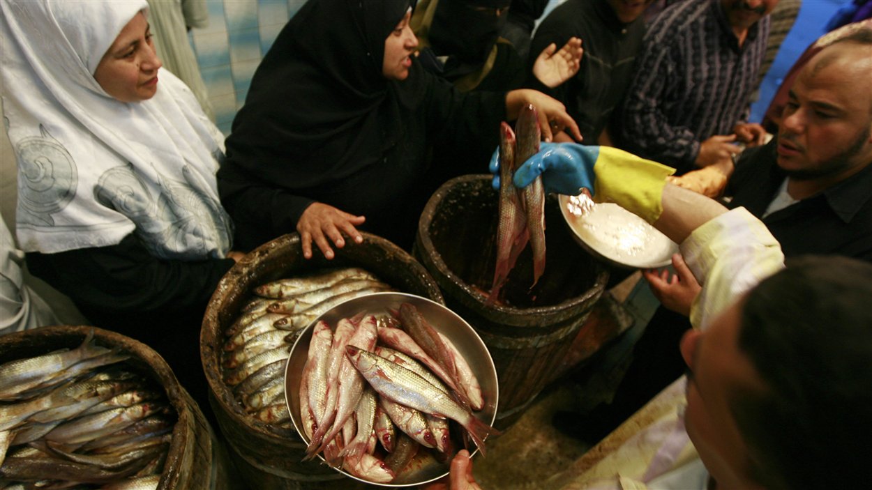 Marché aux poissons à Mansourah