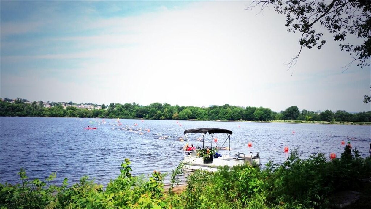 Épreuve de natation lors du Triathlon de Gatineau