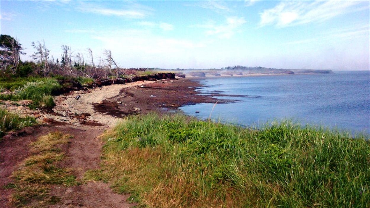 Incendie dans la région de BaieSainteAnne plus de peur que de mal