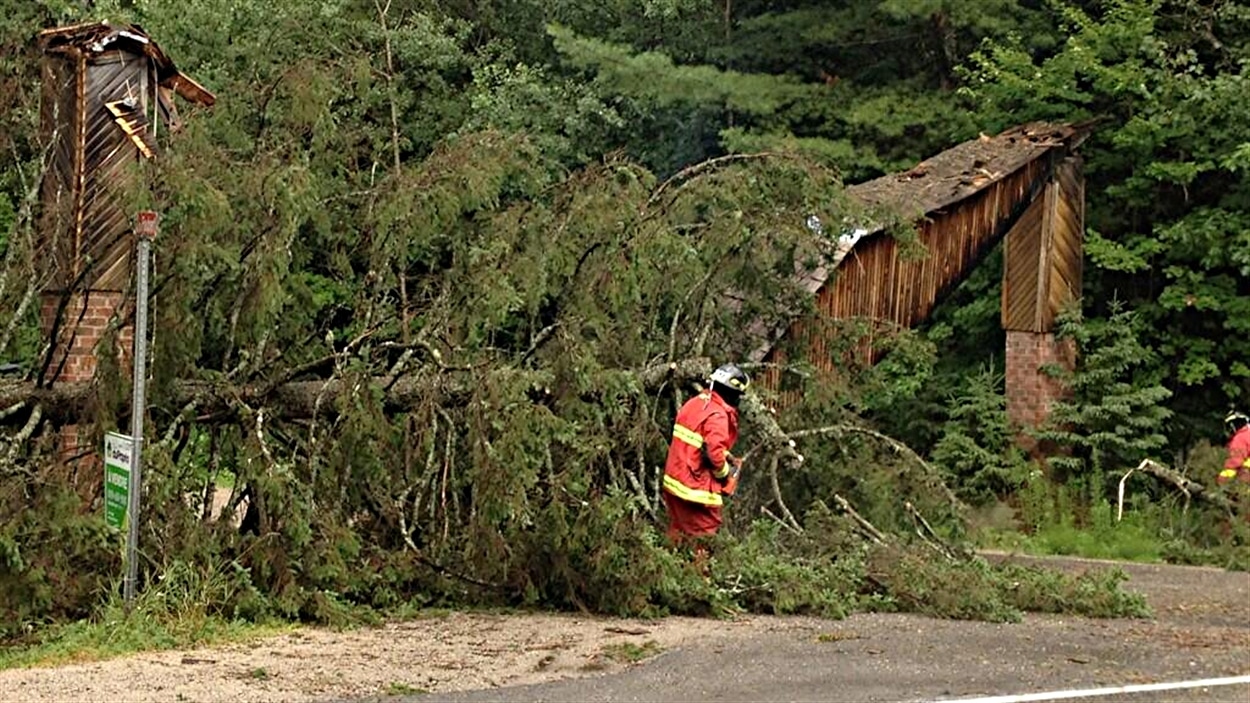 Des pompiers doivent retirer des arbres tombés lors de l'orage sur le chemin Faubert, dans le quartier Edelweiss, à La Pêche.
