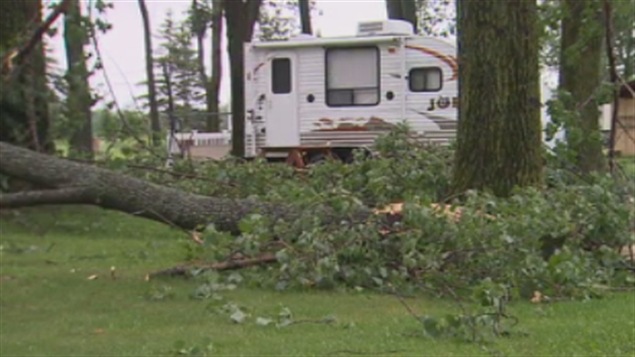 Un arbre arraché sur le site d'un camping à Bécancour