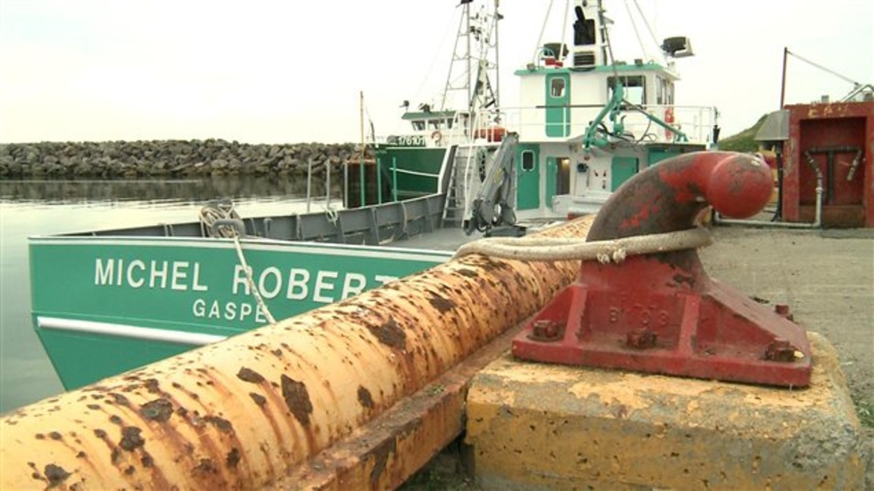 Quai SainteThérèsedeGaspé l'état d'un important port de pêche au