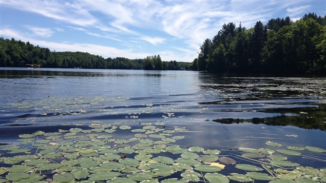 Des riverains du lac Croche déclarent la guerre aux algues bleues