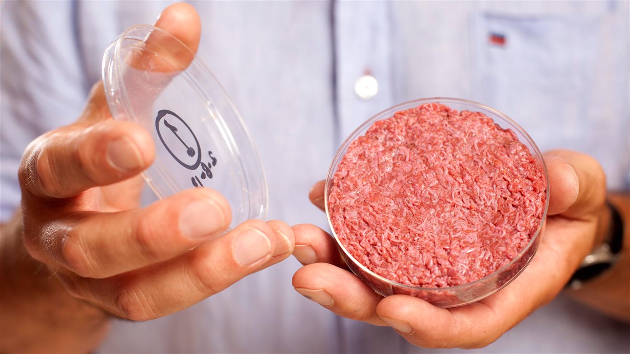 De la viande conçue in vitro.